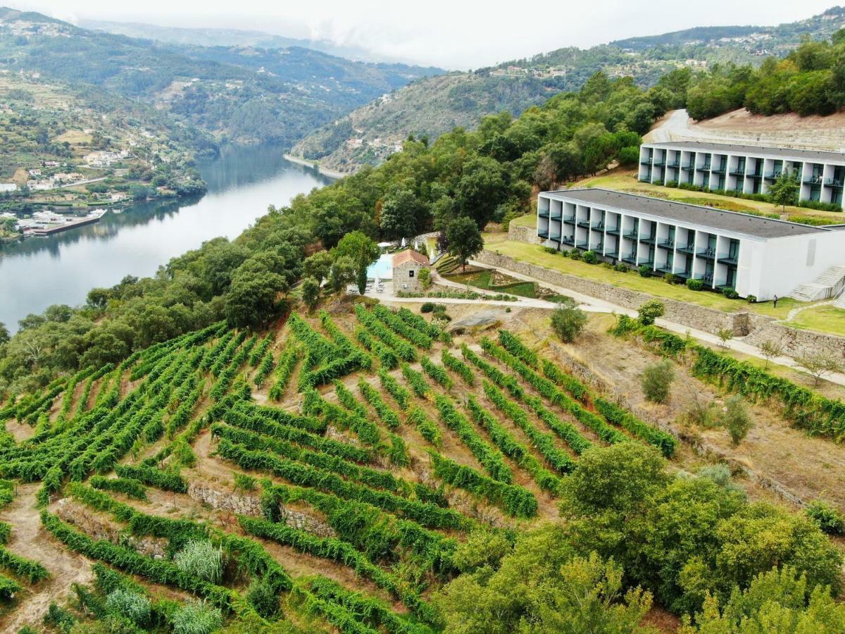 Douro Palace Hotel Resort & Spa Santa Cruz do Douro Екстериор снимка